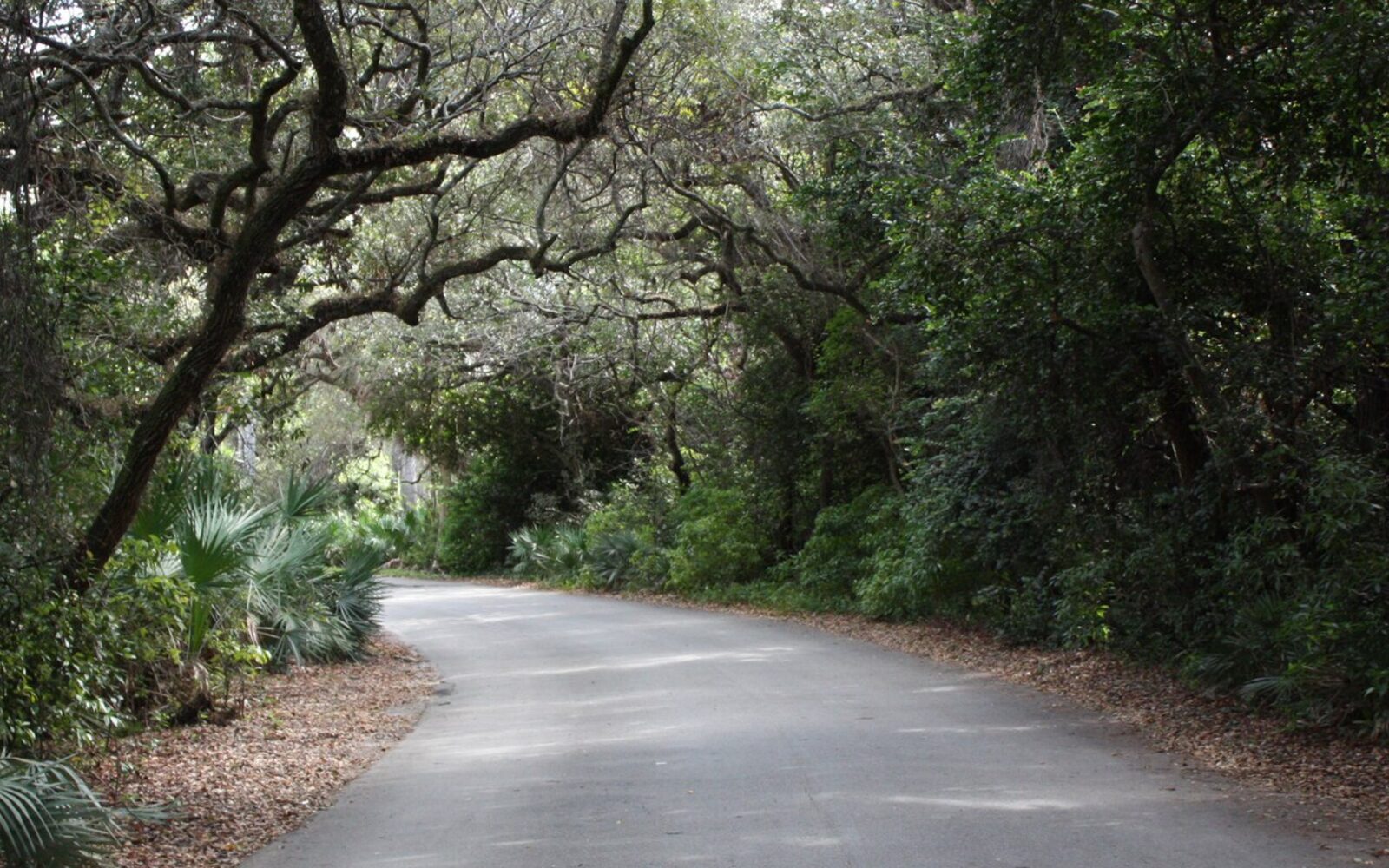 Greynolds Park