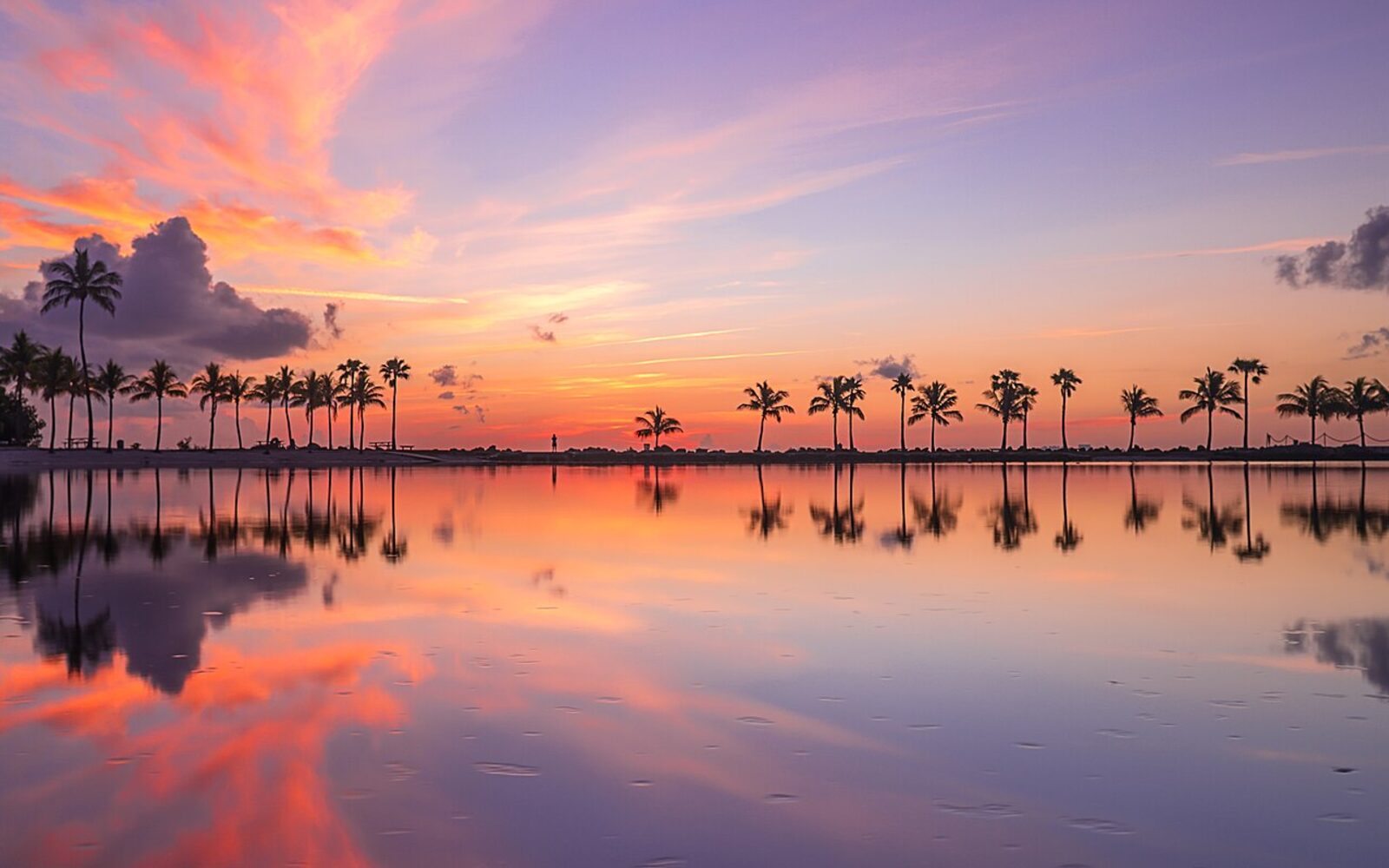 Matheson Hammock Park